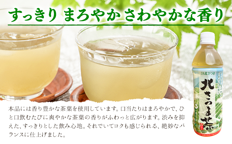 蛹励&縺、縺セ闌カ 500mlテ24譛ャ 蛹励&縺、縺セ霎イ蜊斐30譌・莉・蜀縺ォ蜃コ闕キ莠亥ョ(蝨滓律逾晞勁縺)縲矩ケソ蜈仙ウカ逵 縺輔▽縺セ逕コ 譌・譛ャ闌カ 邱題幻 譁ー闌カ 荳逡ェ闌カ 繝壹ャ繝医懊ヨ繝ォ