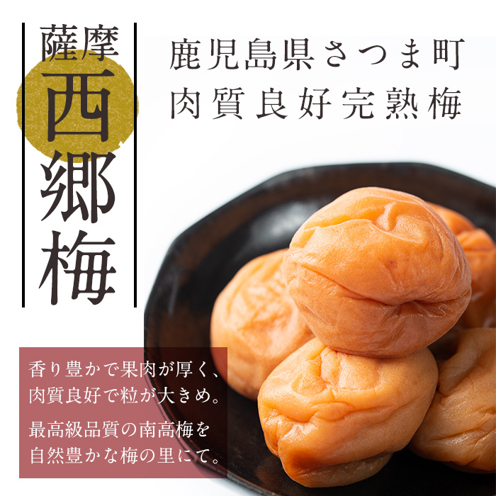 s036 薩摩西郷梅はちみつ梅(550g) 箱入り はちみつ まろやか 南高梅 梅干し うめぼし 粒 大きい 贈答 ギフト 常温【薩摩西郷梅生産組合】