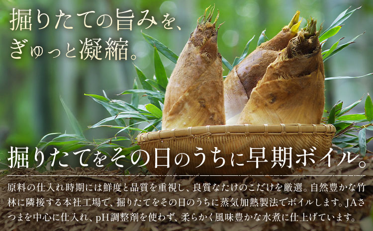 【3ヶ月定期便(隔月)】訳あり たけのこ水煮 切り落としタイプ 計約4.8kg(約200g×8袋×3回) 北薩農産加工場《お申込み翌月から出荷》鹿児島県 たけのこ 筍 水煮 使いやすい 定期便 春 旬 料理 調理