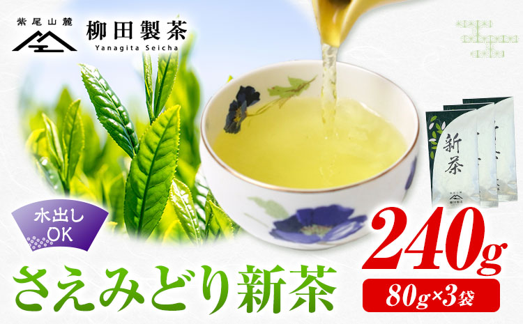 若蒸煎茶 さえみどり 新茶 80g×3袋 柳田製茶《5月上旬より順次出荷予定(土日祝除く)》鹿児島県 さつま町 送料無料 おうち時間 ティータイム 水出し セット 煎茶 緑茶 日本茶 ギフト 贈答 誕生日 プレゼント