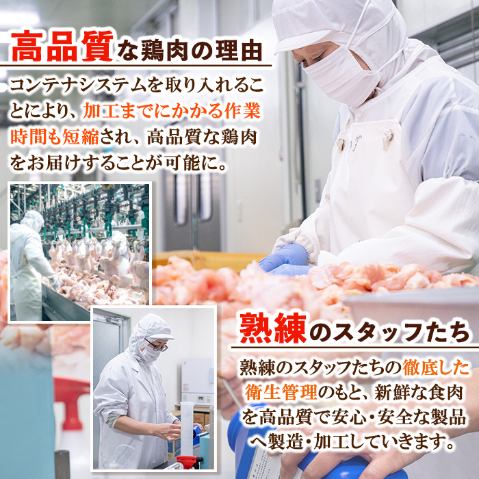 s472 ＜毎月数量限定＞鹿児島県産銘柄鶏・さつま純然・若鶏もも肉(計4kg・2kg×2袋) 鹿児島 国産 九州産 鶏肉 モモ肉 若鶏 精肉 唐揚げ チキンソテー 照り焼き 鍋【江夏商事】