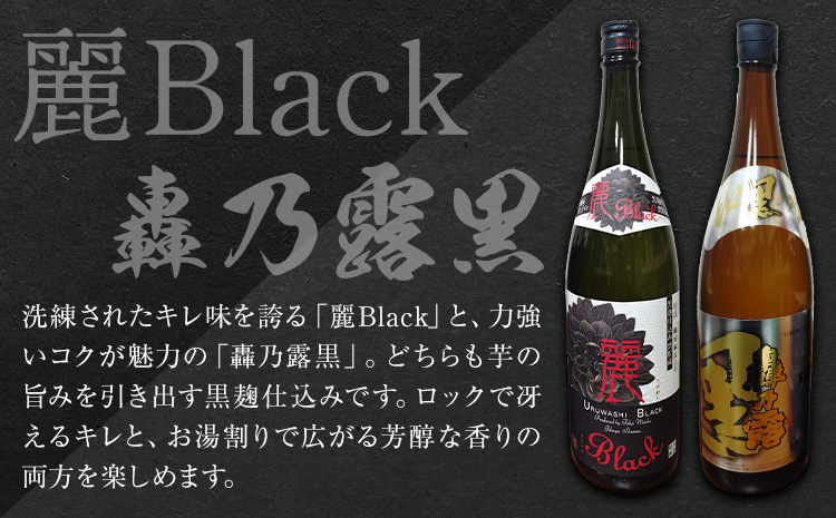 å³éžèçŒé
ãã€ãŸæã3çš® èš20æ éºBlack 1.8L èœä¹é²é» 1.8L æå
é
åº æžæšç°ååºã30æ¥ä»¥å
ã«åºè·äºå®(忥ç¥é€ã)ã鹿å
å³¶ç ãã€ãŸçº 鹿å
å³¶åç© åç£å é
çŒé
é·åæç ãé
ãã€ãŸæã