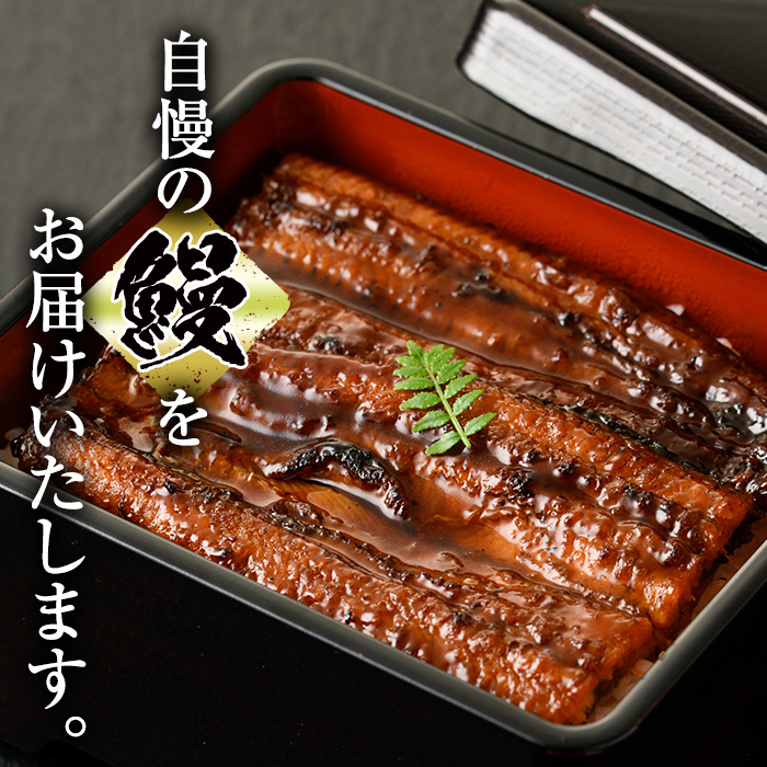 s732 【隔月・定期便3回】＼特大サイズ／ 鹿児島県産 鰻蒲焼真空セット！(計約1.32kg・約220g×2尾×3回) タレ・山椒付！ 鹿児島 九州産 国産 うなぎ ウナギ 鰻 土用の丑の日 蒲焼き うな重 ひつまぶし 定期便 隔月 1ヶ月おきに 冷凍 【薩摩川内鰻】