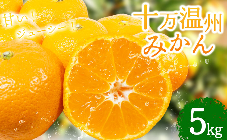 十万温州みかん 5kg 北さつま農協《1月上旬-1月末頃出荷》 鹿児島県 さつま町 送料無料 柑橘 みかん 温州みかん 十万みかん