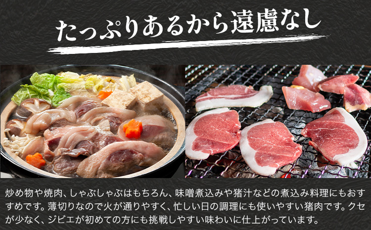 猪肉切り落とし 計約1kg ダブルビーゼット株式会社 (さつまのジビエファクトリー) 《30日以内に出荷予定(土日祝除く)》鹿児島 国産 九州産 ジビエ 冷凍 鹿児島県 さつま町 イノシシ