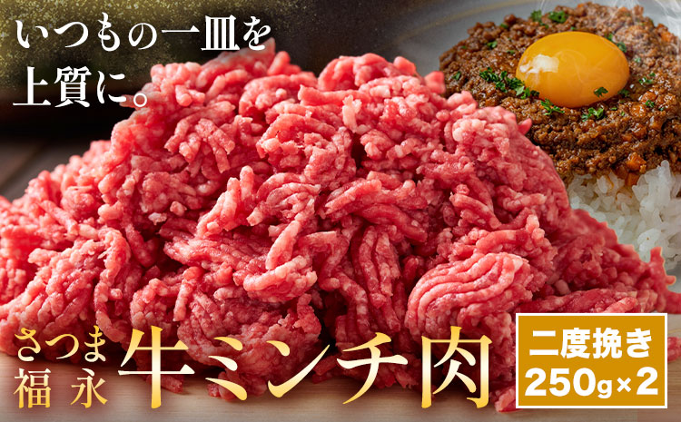 さつま福永牛 ミンチ肉 二度挽き 250g×2パック 福永畜産《30日以内に出荷予定(土日祝除く)》鹿児島県 さつま町 和牛 福永牛 ミンチ 二度挽き 粗挽き 肉 国産