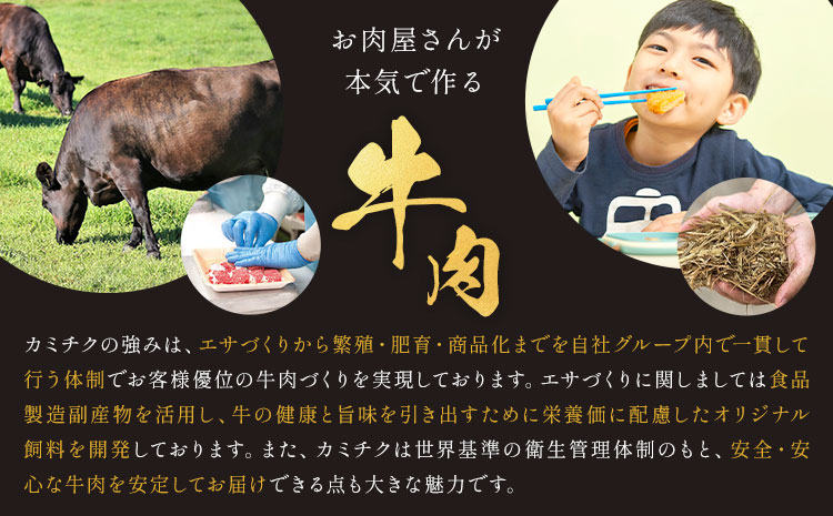 閧 迚幄i 鮖ソ蜈仙ウカ逵檎肇 鮟呈ッ帛柱迚 繝偵Ξ繧ケ繝繝シ繧ュ 2遞ョ逶帙j 繧ケ繝繝シ繧ュ 繧オ繧、繧ウ繝ュ 660g 縲90譌・莉・蜀縺ォ蜃コ闕キ莠亥ョ(蝨滓律逾晞勁縺)縲 譬ェ蠑丈シ夂、セ繧ォ繝溘メ繧ッ 鮖ソ蜈仙ウカ逵 縺輔▽縺セ逕コ