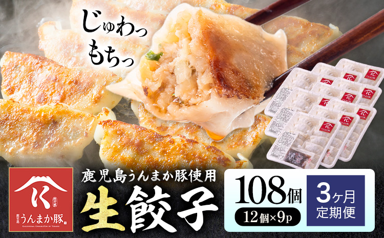 【3ヶ月定期便】鹿児島 うんまか豚 生餃子 108個 株式会社 寺師《お申込み翌月から出荷》鹿児島県 さつま町 餃子 ギョウザ 焼き餃子 水餃子