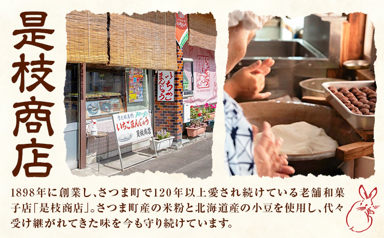 いちごまんじゅう引換券 計10個分 是枝商店《5月上旬-9月末頃出荷》鹿児島県 さつま町 和菓子 饅頭 まんじゅう いちごまんじゅう うるち米 粒あん 特産品 チケット【店舗引き取り限定】