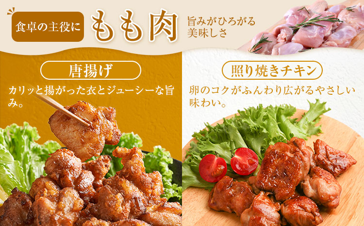 鮖ソ蜈仙ウカ逵檎肇 鮓剰i 繧ゅb閧 250g テ 12繝代ャ繧ッ 險3kg 縲7-14譌・莉・蜀縺ォ蜃コ闕キ莠亥ョ(蝨滓律逾晞勁縺)縲矩ケソ蜈仙ウカ逵 縺輔▽縺セ逕コ 鮓 魑・ 繧ゅb 閧
