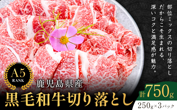 鹿児島県産黒毛和牛切落し250ｇ×3パック LRプラスK 《90日以内に出荷予定(土日祝除く) 》 鹿児島県産 A5 黒毛和牛 和牛 切落し 250ｇ×3パック 計750g
