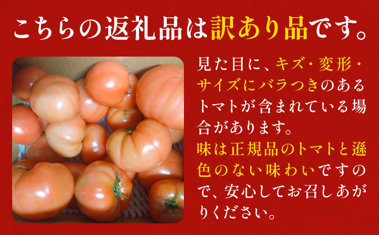 訳あり トマト 大玉 大玉トマト わけあり 2kg 吉祥庵園芸《11月上旬-6月上旬頃出荷》鹿児島県 さつま町 送料無料 野菜 トマト お取り寄せ