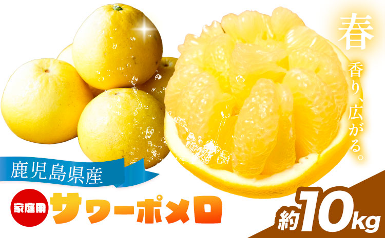 【先行予約】家庭用 みかん サワーポメロ 10kg よしたか農園 《2027年2月上旬～3月下旬頃出荷》鹿児島県 さつま町 サワーポメロ 文旦 ぶんたん 柑橘 かんきつ フルーツ 果物 くだもの 鹿児島県産 10キロ 送料無料 旬 ご家庭用 訳あり