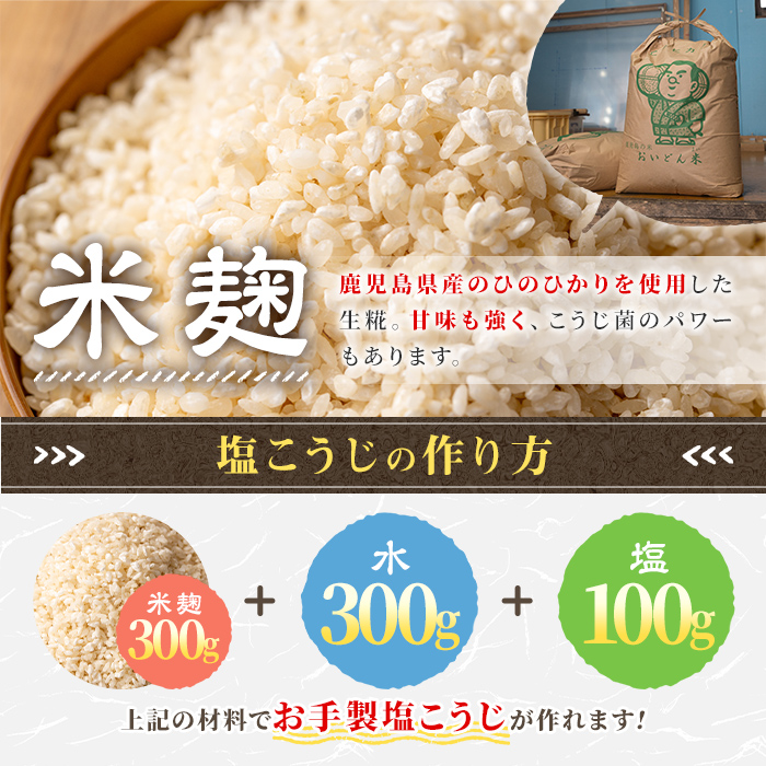 s548 生タイプ 米糀(計3kg・1kg×3個) 米こうじ 米麹 和食 発酵食品 甘酒 味噌 醤油 こうじ水 腸活 国産 小分け【さつま糀商店】