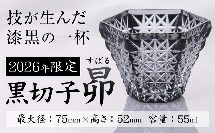 薩摩切子 2026 黒切子 昴 薩摩びーどろ工芸株式会社《90日以内に出荷予定(土日祝除く)》鹿児島県 さつま町 送料無料 伝統工芸 切子 さつま切子 グラス