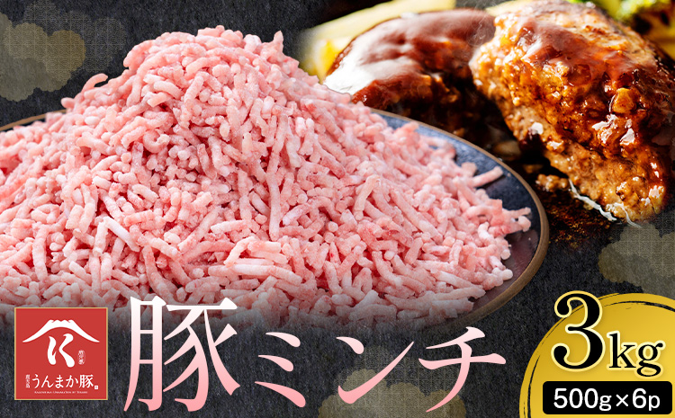 鹿児島 うんまか 豚ミンチ 計3kg 500g×6P 株式会社寺師《90日以内に出荷予定(土日祝除く) 》鹿児島県 さつま町 豚肉 ミンチ 肉