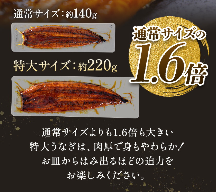 【隔月定期便全3回】＼特大サイズ／ 鹿児島県産 鰻蒲焼真空セット！2尾 タレ・山椒付！ 株式会社薩摩川内鰻 《お申込み翌月から出荷》 鹿児島県 さつま町 送料無料 ウナギ 丑の日 うなぎ 刻み グルメ 特大 鰻 蒲焼 真空