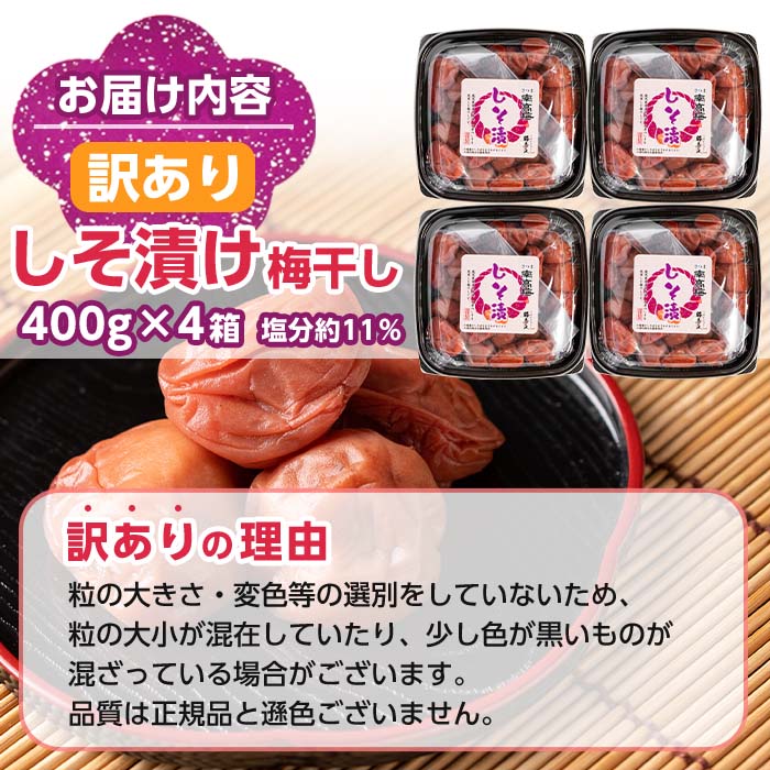 s281 ïŒèš³ããïŒããæŒ¬ãæ¢
å¹²ã(èš1.6kgã»400gÃ4ç®±ã»å¡©åçŽ11ïŒ
) 鹿å
å³¶ åœç£ ä¹å·ç£ ãããŒã æ¢
å¹²ã æ¢
ãã åžžæž©ãæ¢
éŠäžã