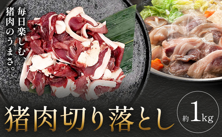 猪肉切り落とし 計約1kg ダブルビーゼット株式会社 (さつまのジビエファクトリー) 《30日以内に出荷予定(土日祝除く)》鹿児島 国産 九州産 ジビエ 冷凍 鹿児島県 さつま町 イノシシ