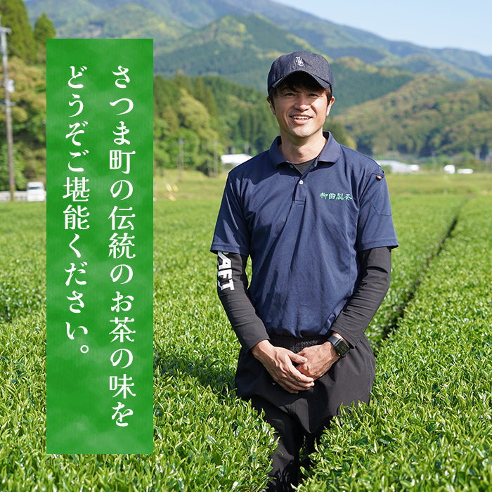 s571 若蒸ほうじ茶TEA BAG(計40P・3g×5P×8袋) 鹿児島 国産 九州産 日本茶 若蒸茶 煎茶 お茶 ほうじ茶 ティーバッグ【柳田製茶】