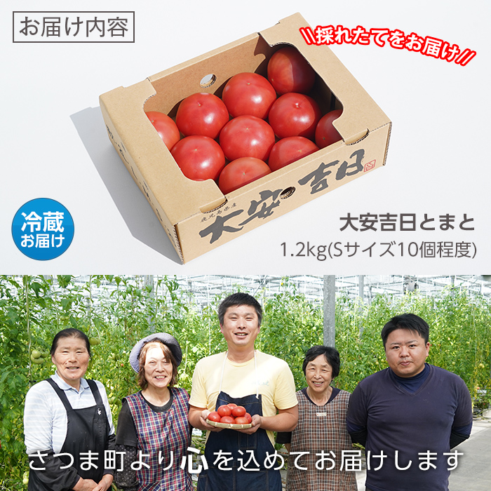 s199 さつま町産の大安吉日とまと(約1.2kg) 鹿児島 国産 九州産 トマト 野菜【市囿庄一】