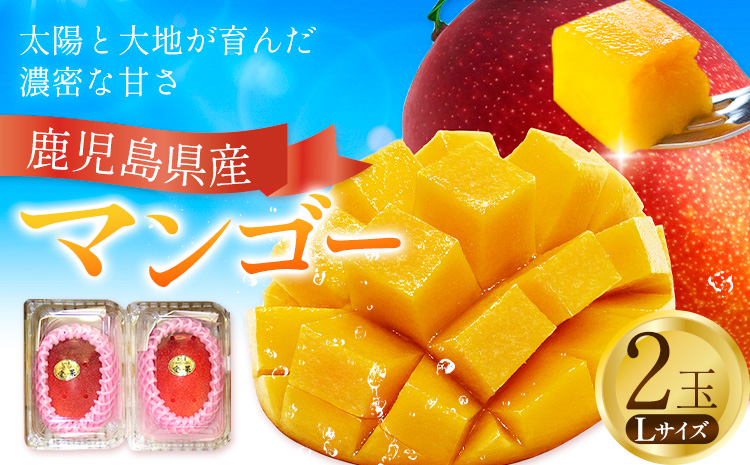 鹿児島県産 マンゴー パック入り 2玉 Lサイズ 計約630g よしたか農園《5月上旬‐5月下旬頃出荷》鹿児島県 さつま町 マンゴー 果物 フルーツ 送料無料