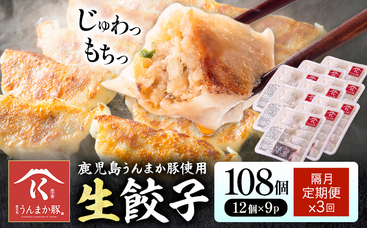 【隔月定期便×3回】鹿児島 うんまか豚 生餃子 108個 株式会社 寺師《お申込み翌月から出荷》鹿児島県 さつま町 餃子 ギョウザ 焼き餃子 水餃子