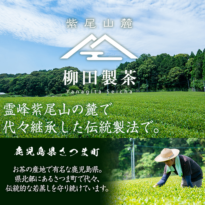 s571 若蒸ほうじ茶TEA BAG(計40P・3g×5P×8袋) 鹿児島 国産 九州産 日本茶 若蒸茶 煎茶 お茶 ほうじ茶 ティーバッグ【柳田製茶】