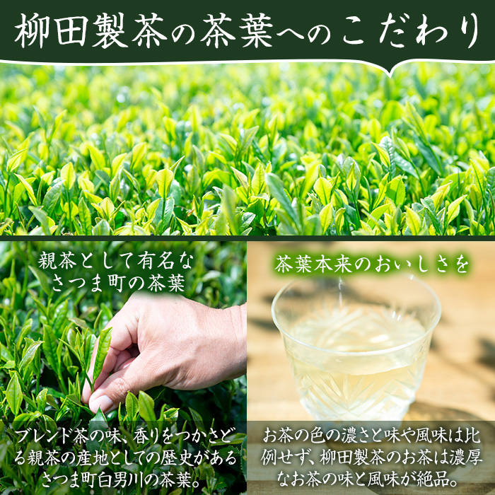 s233 若蒸上煎茶TEA BAG(計40P・3g5P入×8袋)鹿児島 国産 九州産 日本茶 若蒸茶 お茶 緑茶 ティーバッグ【柳田製茶】