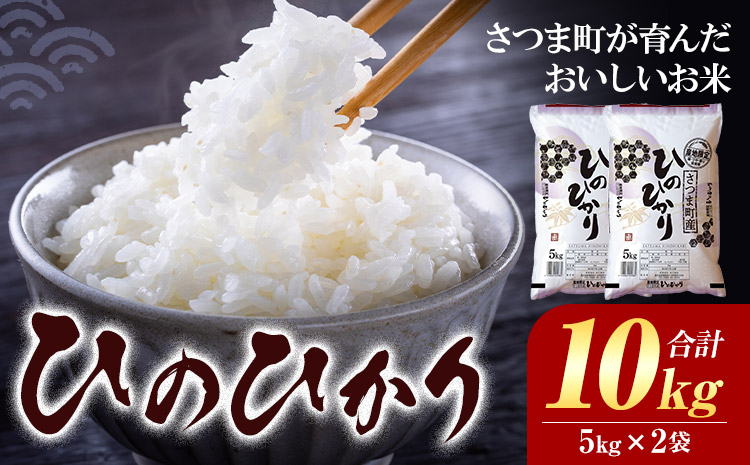 お米 白米 ひのひかり 5kg×2袋 有限会社 谷口商店 《30日以内出荷予定(土日祝除く)》鹿児島県 鹿児島県産 さつま町 白米 精米 ごはん