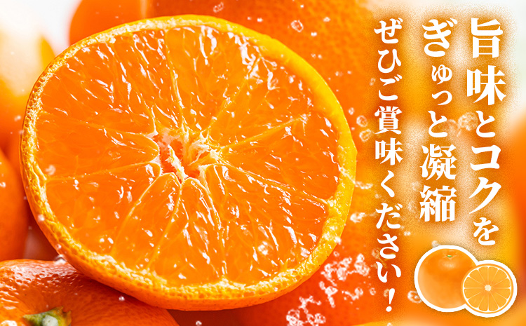 鹿å
å³¶çç£ æ°çåäžã¿ãã èŽççš çŽ5kg ç¥è¿«ææš¹åã1æäžæ¬-2æäžæ¬é åºè·ã鹿å
å³¶ç ãã€ãŸçº ã¿ãã åäžã¿ãã èæ ææ© æç© ãã ãã® ãã«ãŒã ãžã¥ãŒã·ãŒ