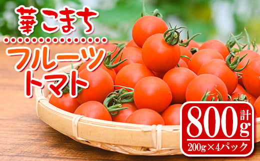 s501 《期間・数量限定》華こまちフルーツトマト(計800g・200g×4パック) 鹿児島 国産 九州産 野菜 とまと トマト ミニトマト フルーツトマト サラダ【吉祥庵園芸】