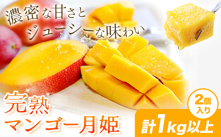 完熟 マンゴー月姫 計1kg以上(2個入り) 株式会社日野洋蘭園《6月中旬-7月下旬頃出荷》 鹿児島県 さつま町 マンゴー 果物 フルーツ 送料無料