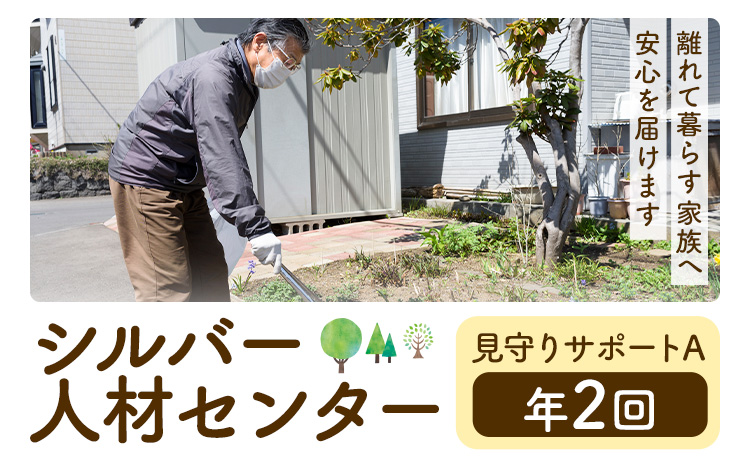 ふるさと安心 サポート 見守りサポート A 年2回 さつま町シルバー人材センター《配送無し》見守り サービス サポート 代行 代行サービス 親 高齢者 実家 帰省 祖父 祖母 家族 孝行 親孝行 安心
