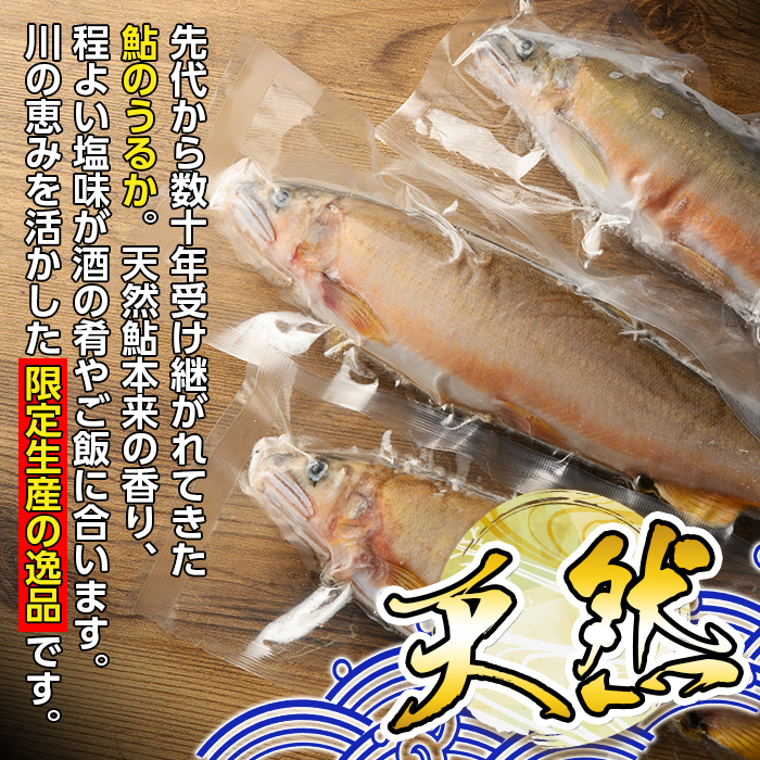 s569 ＜期間・数量限定＞鮎うるか2種(計2本・卵×1本、はらわた×1本・各50g) 塩辛 うるか にがうるか おつまみ 珍味 発酵食品 あゆ アユ 魚 魚介 川魚 内臓 はらわた 【しもむぎ】