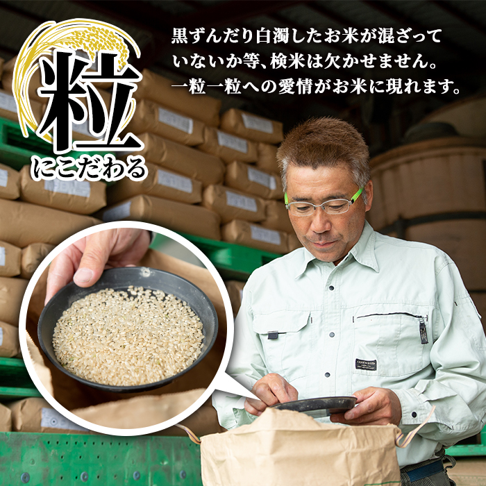 s061 【令和6年産・新米】かじやさん家のおいしいひのひかり(2kg)鹿児島県産 ヒノヒカリ 農家直送 ブランド米 お米 こめ 白米 ごはん ご飯【かじや農産】