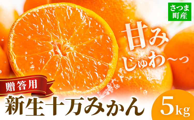 鹿児島県産 新生十万みかん 贈答用 約5kg 祝迫果樹園《1月中旬-2月中旬頃出荷》鹿児島県 さつま町 みかん 十万みかん 蜜柑 柑橘 果物 くだもの フルーツ ジューシー