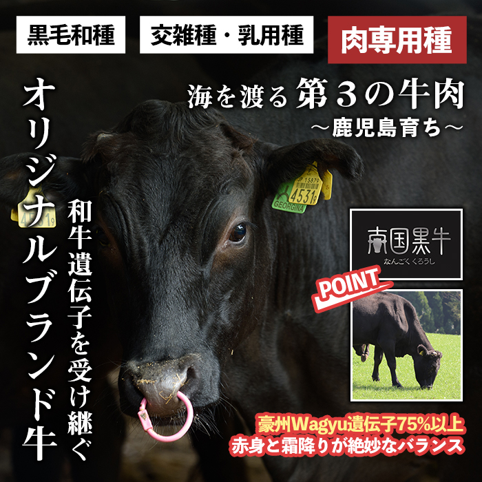 s142 鹿児島県産南国黒牛(肉専用種)ヒレステーキ2種盛り(計440g・220g×2パック) 鹿児島 国産 黒牛 牛肉 九州産 霜ぶり 赤身  フィレ ステーキ サイコロステーキ ヒレステーキ【カミチク】