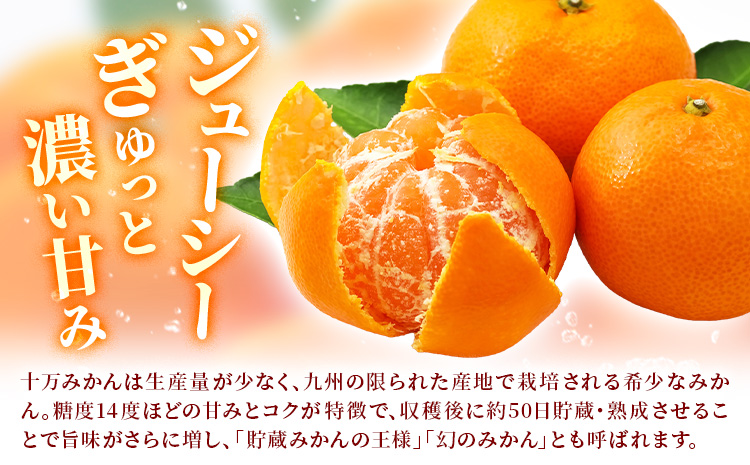 鹿å
å³¶çç£ æ°çåäžã¿ãã èŽççš çŽ5kg ç¥è¿«ææš¹åã1æäžæ¬-2æäžæ¬é åºè·ã鹿å
å³¶ç ãã€ãŸçº ã¿ãã åäžã¿ãã èæ ææ© æç© ãã ãã® ãã«ãŒã ãžã¥ãŒã·ãŒ