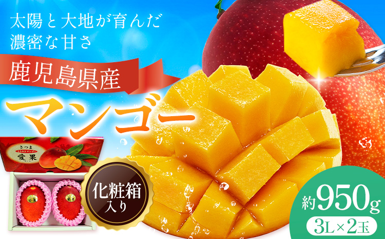 鹿児島県産 マンゴー 化粧箱入り 2玉 3L よしたか農園《5月上旬‐5月下旬頃出荷》鹿児島県 さつま町 マンゴー 果物 フルーツ 送料無料