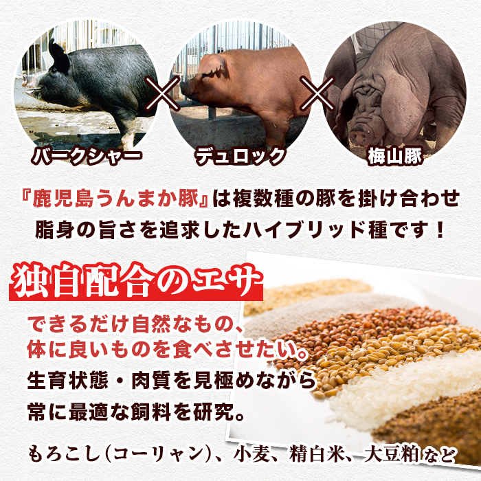 s117-2603 ＜先行予約受付中！2026年3月より順次発送予定＞鹿児島うんまか豚ミンチ(計3kg・500g×6P) 鹿児島 国産 豚肉 挽肉 豚ひき肉 ミンチ 冷凍 【肉の寺師】