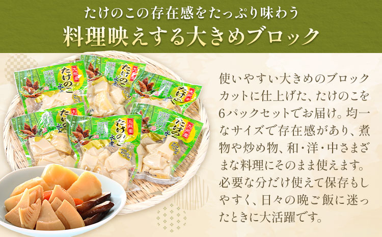 たけのこ 水煮 詰め合わせ ブロック大 九州産 計約1.2kg 約200g×6袋 北薩農産加工場《30日以内に出荷予定(土日祝除く)》鹿児島県 さつま町 送料無料 惣菜 タケノコ 筍 竹の子 パック 水煮 お取り寄せグルメ