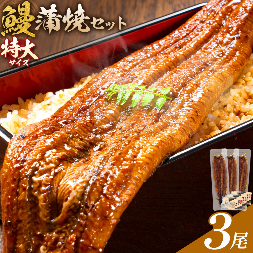 ＼特大サイズ／ 鹿児島県産 鰻蒲焼真空セット！3尾 タレ・山椒付！ 株式会社薩摩川内鰻 《30日以内に出荷予定(土日祝除く)》 鹿児島県 さつま町 送料無料 ウナギ 丑の日 うなぎ 刻み グルメ 特大 鰻 蒲焼 真空