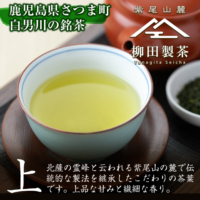 s572 若蒸上煎茶 若蒸ほうじ茶 TEA BAG(計40P・3g×5P×8袋)鹿児島 国産 九州産 日本茶 若蒸茶 煎茶 お茶 ほうじ茶 ティーバッグ【柳田製茶】