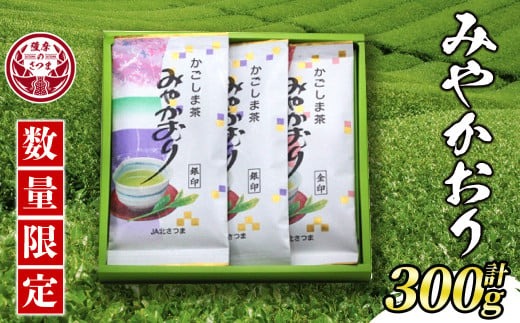 s354 《毎月数量限定》みやかおり(計300g・100g×3袋)新緑の香りと深みのある味わい！ 鹿児島 国産 九州産 お茶 緑茶 日本茶【JA北さつま】