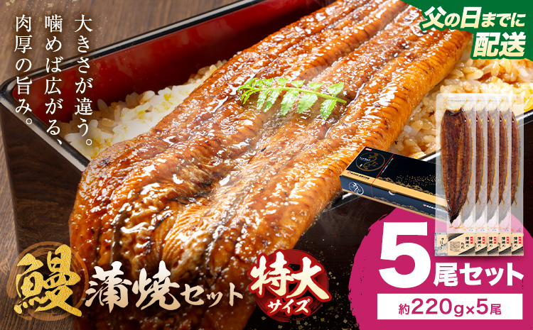 【父の日】＼特大サイズ／ 鹿児島県産 鰻蒲焼真空セット！5尾  タレ・山椒付！ 株式会社薩摩川内鰻 《6月中旬-6月下旬頃出荷》  鹿児島県 さつま町 送料無料 ウナギ 丑の日 うなぎ 刻み グルメ 特大 鰻 蒲焼 真空