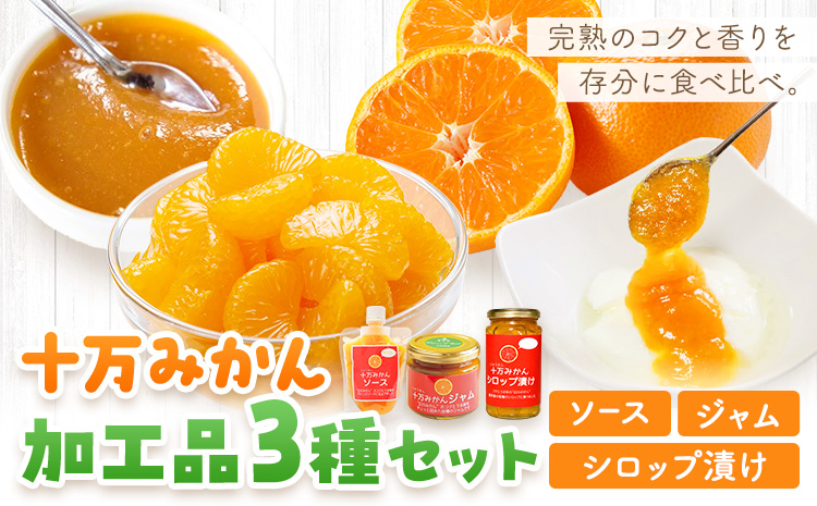 十万みかん 加工品3種セット ソース ジャム シロップ漬け 各1個 田野農園《30日以内に出荷予定(土日祝除く)》鹿児島県 さつま町 みかん 蜜柑 柑橘 果物 くだもの フルーツ ジューシー シロップ 送料無料