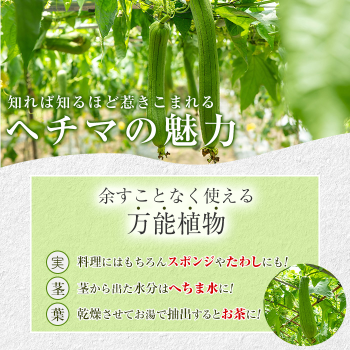 s695 HECHIMARS skincare booster縲雁喧邊ァ豌エ(蟆主・豌エ)縲 (邏120mlテ1譛ャ) 鮖ソ蜈仙ウカ 縺ク縺。縺セ 繝倥メ繝 繧ケ繧ュ繝ウ繧ア繧「 蛹也イァ豌エ 蟆主・豌エ 蟆主・蛹也イァ豌エ 縲仙粋蜷御シ夂、セICHI縲