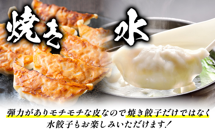 【隔月定期便×3回】鹿児島 うんまか豚 生餃子 108個 株式会社 寺師《お申込み翌月から出荷》鹿児島県 さつま町 餃子 ギョウザ 焼き餃子 水餃子