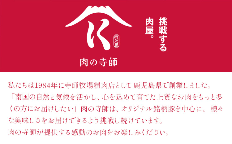 【3ヶ月定期便 】鹿児島 うんまか 豚ミンチ 計3kg 500g×6P 株式会社寺師《お申し込みの翌月から出荷》鹿児島県 さつま町 豚肉 ミンチ 肉